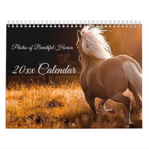 Photos du calendrier des beaux chevaux