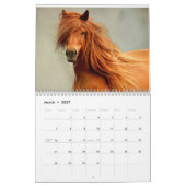 Photos du calendrier des beaux chevaux (Mar 2027)
