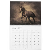 Photos du calendrier des beaux chevaux (Jan 2027)