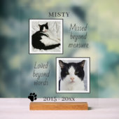 Photos Et Citations De Cat Pet Memorial (Neutre)