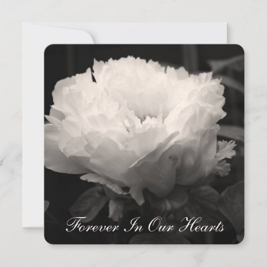 Photos florales de Peony 2 Faire-part funéraire (Devant)