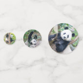 Photos Géantes Panda Confetti (Devant)