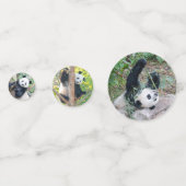 Photos Géantes Panda Confetti (Derrière)