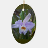 Photos Keramisch Ornament (Links)