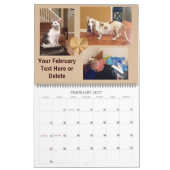 Photos multiples et calendrier 2016 des textes (Feb 2027)