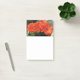 Photos Orange Daisy Flower Post-it Notes