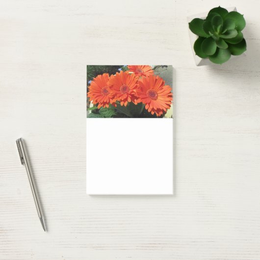 Photos Orange Daisy Flower Post-it Notes (Bureau)