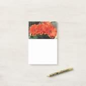 Photos Orange Daisy Flower Post-it Notes (Sur un bureau)