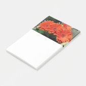 Photos Orange Daisy Flower Post-it Notes (Incliné)
