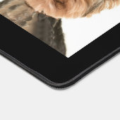 Photos personnalisées de petits chiens sur le chat (Coin)