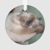 Photos personnalisées pour animaux de compagnie de (dos)