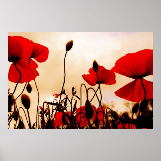 Photos rouges à Dusk Poster Imprimer (Devant)