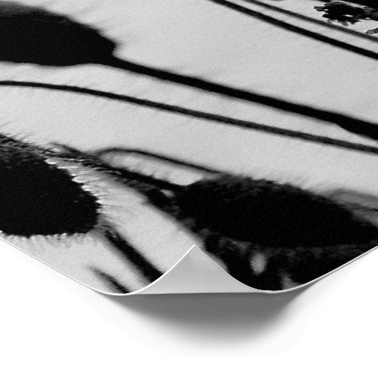 Photos rouges dans le champ Poster Imprimer (Coin)