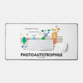 Photosynthèse autotrophile (Clavier et souris)