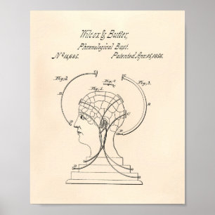 Phrenological Bust 1856 Patent Art Old Peper Poster