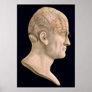 Phrenologie 1834 poster