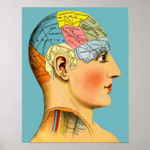 Phrenologiehoofd Poster