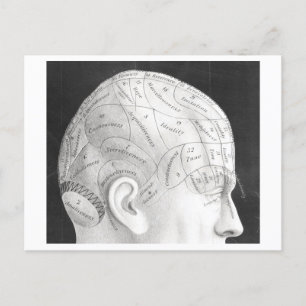  Phrenology Diagram Briefkaart
