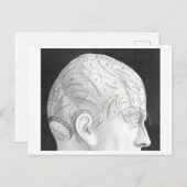  Phrenology Diagram Briefkaart (Voorkant / Achterkant)