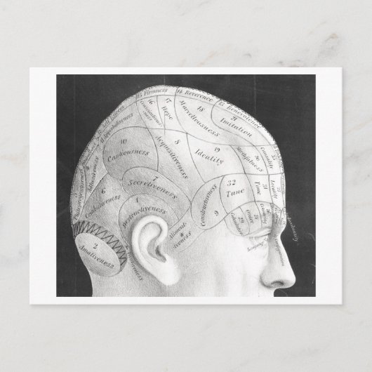  Phrenology Diagram Briefkaart (Voorkant)