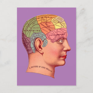  Phrenology Head Mind Brain Map Briefkaart