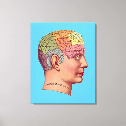  Phrenology Head Mind Brain Map Canvas Afdruk (Voorkant)