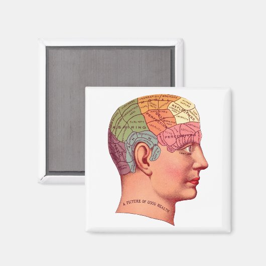  Phrenology Head Mind Brain Map Magneet (Voorkant / Achterkant)