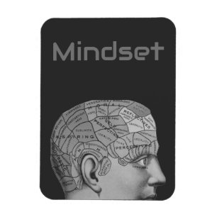 Phrenology Head Mindset Brain Map Magneet