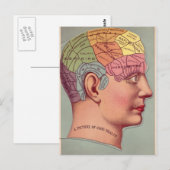 Phrenology  kunst Afbeelding van goede gezondheid Briefkaart (Voorkant / Achterkant)