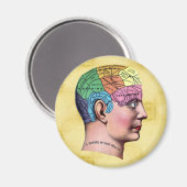 Phrenology Magnet (Recto/Verso)