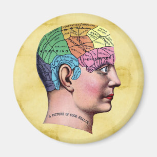 Phrenology Magnet
