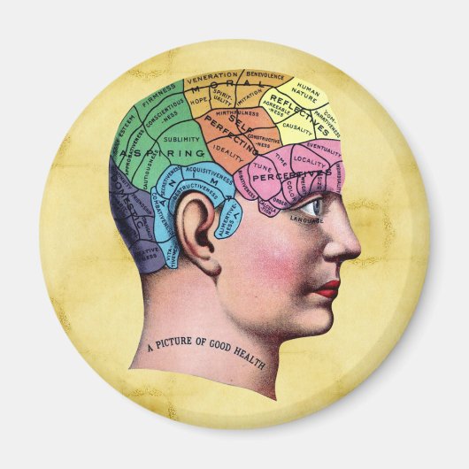 Phrenology Magnet (Devant)