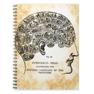 Phrenology Steampunk  notebook Notitieboek