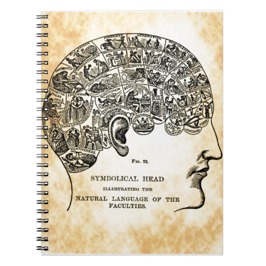 Phrenology Steampunk  notebook Notitieboek (Voorkant)