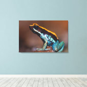 Phyllobates vittatus, een gifpijlkikker canvas afdruk (Insitu (Houten vloer))