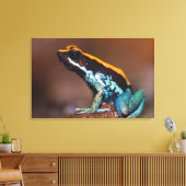 Phyllobates vittatus, een gifpijlkikker canvas afdruk (Insitu (Woonkamer))