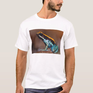 Phyllobates vittatus, een pijlgifkikker t-shirt