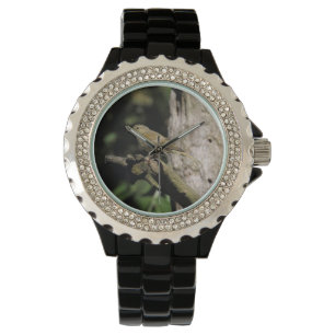 Phylloscopus collybita horloge