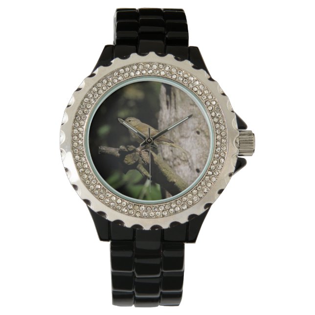 Phylloscopus collybita horloge (Voorkant)