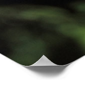 Phylloscopus collybita poster (Hoek)