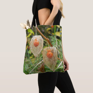 Physalis alkekengi Tout sur le sac d'impression