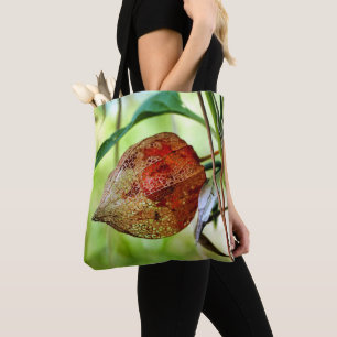 Physalis alkekengi Tout sur le sac d'impression