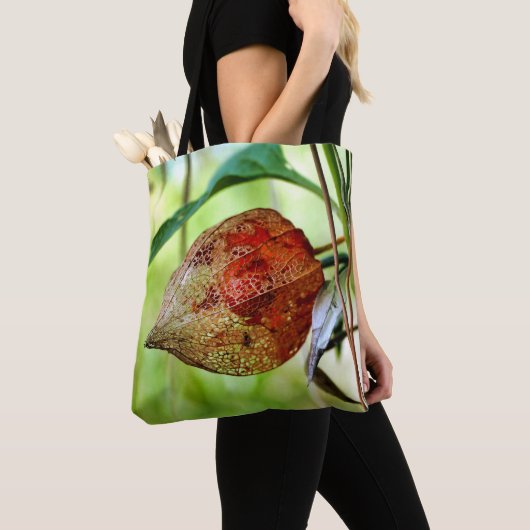 Physalis alkekengi Tout sur le sac d'impression (De près)