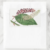 Phytolacca Decandra (American Pokeweed) (1806) Rechthoekige Sticker (Tas)