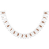 PI 3.14 Bunting Banner (Alle)