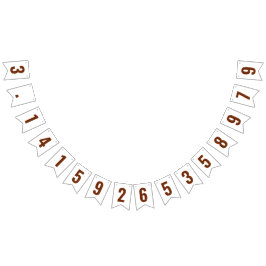 PI 3.14 Bunting Banner