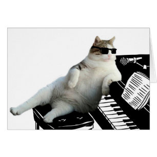 Pianiste de chat aveugle