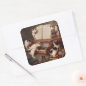 PIANO CATS - Grappige  Cat Stickers (Envelop)