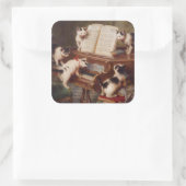 PIANO CATS - Grappige  Cat Stickers (Tas)