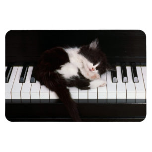 Piano Kitten Magneet